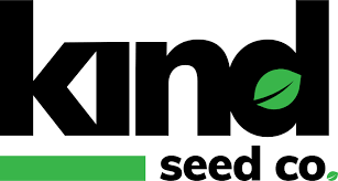 Exploring Marijuana Seeds Texas A Comprehensive Guide